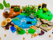 Load image into Gallery viewer, Frog Kit