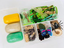 Load image into Gallery viewer, Insects Kit