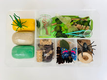Load image into Gallery viewer, Insects Kit
