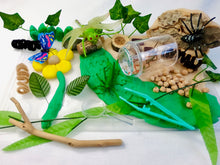 Load image into Gallery viewer, Insects Kit- $39