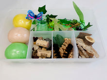 Load image into Gallery viewer, Insects Kit