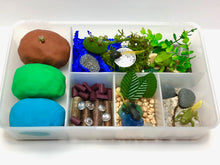 Load image into Gallery viewer, Frog Kit
